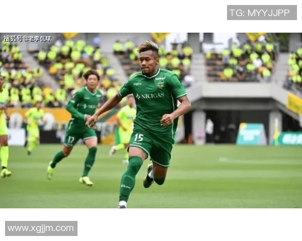 东京队与爱媛队历史交锋战绩分析及近期表现对比 东京队与爱媛队历史交锋战绩分析及近期表现对比