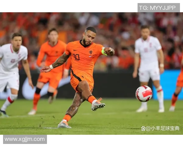 芬兰与匈牙利实力对比分析及比赛前瞻探讨