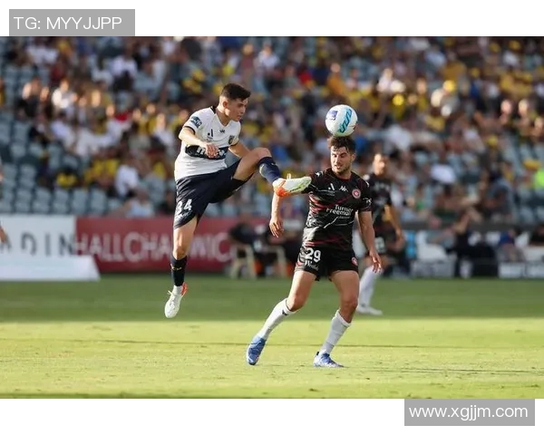 惠灵顿与帕斯光的精彩对决解析及赛季表现评估 惠灵顿与帕斯光的精彩对决解析及赛季表现评估