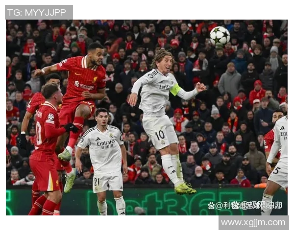 加迪夫主场迎战布莱顿双方争夺英超宝贵积分之战