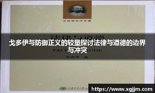 戈多伊与防御正义的较量探讨法律与道德的边界与冲突